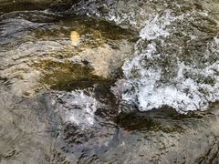 -狮子关旅游区