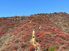 -水峪民俗村