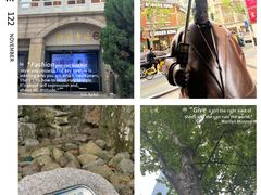 -静安公园(静安寺街道)