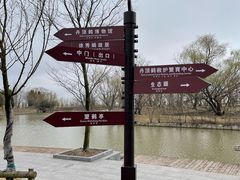 -盐城丹顶鹤湿地生态旅游区