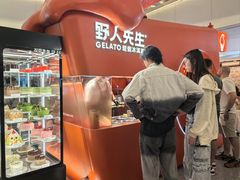 -野人先生现做冰淇淋(北京王府井东方新天地店)