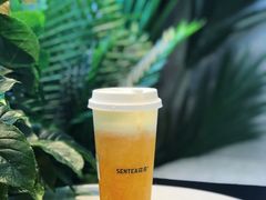 森芒味芒果-SENTEA森茶(麦地丽日店)