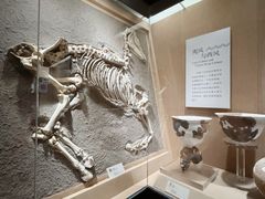 -烟台市博物馆