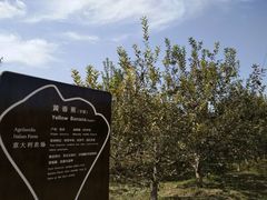 -意大利农场度假村