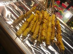 -醉烧膘·烧烤夜宵王(总店)