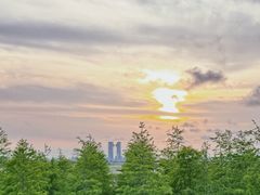 -春花秋色城市公园