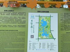 -青枫公园