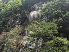 -陕西省红河谷森林公园