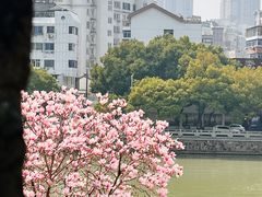 -常州明城墙