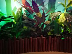 -萌宠奇缘(荣鼎店)