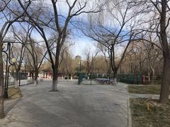 -莲花池公园