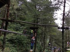 -梦幻奥陶纪景区