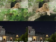 -南昌动物园