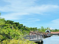 -东寨港红树林旅游区