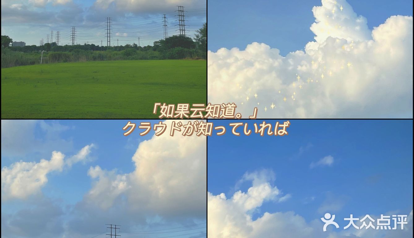 苏州城北免费又休闲的湿地公园打卡推荐