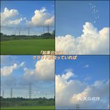 苏州城北免费又休闲的湿地公园打卡推荐