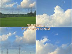 -漕湖湿地公园
