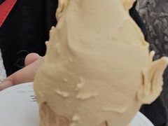-野人先生现做冰淇淋(西安赛格店)