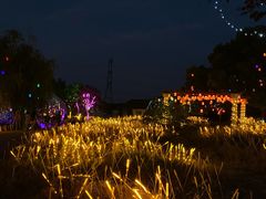 -上海杨姆庄园