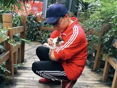 -梵猫·轻客栈(大理古城北门店)