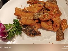 -顺峰顺水顺德菜(第一百货店)