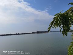 -贡湖湾湿地公园