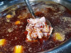 火锅兔-水碾河肥兔火锅(水碾河店)