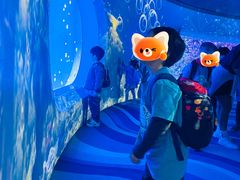-AKA国际儿童中心Awesome Kids Academy