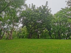 -晓港公园
