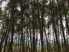 -硗碛藏寨·神木垒景区