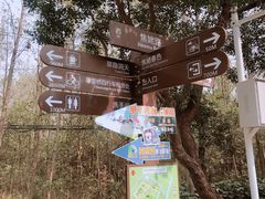 -合肥滨湖国家森林公园