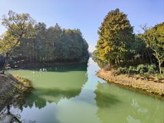 -贡湖湾湿地公园