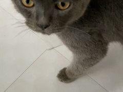 -畜牧兽医站(共江路店)