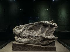 -自贡恐龙博物馆