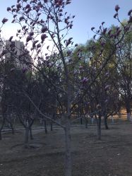 -大望京儿童游乐场