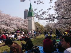 -帝京日语(春熙路旗舰校区)