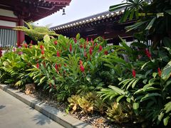-新加坡佛牙寺龙华院