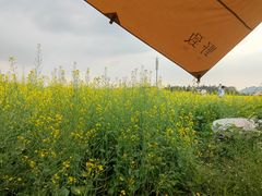 -光明小镇欢乐田园