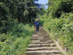 -冶父山国家森林公园