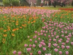 -北京植物园南门售票处