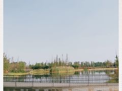 -白鹭湾湿地公园