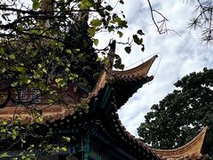 -戏马台景区
