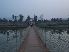 -羊亭河湿地公园