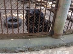 -昆明动物园