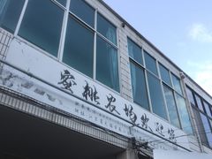 -老袁家蜜桃农场·阳山水蜜桃