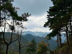 -四明山国家森林公园