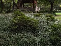 -汇龙潭