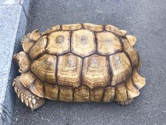 -灵玲国际马戏城