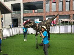 -恐龙探索乐园(磁器口店)