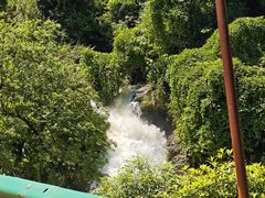 -三江森林温泉度假区